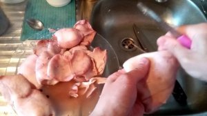 Как правильно варить и чистить кальмары чтобы были мягкие