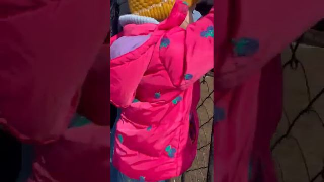 Обзор Тайган зоопарка в Крыму смотреть онлайн