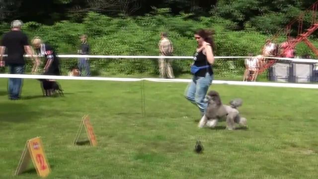 Вальс Джона смотреть онлайн