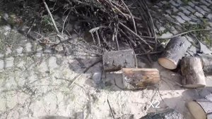 Echo cs 360 tes обзор походная пила и заготовка дров