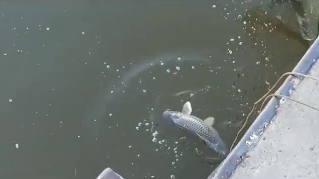 13 декабря 2023 г. смотреть онлайн