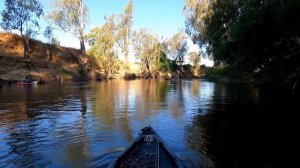 Kayak fishing for Murray cod in the ovens River with the OneWell Lunch lure