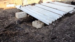 Кролики в вольере  Как кролики едят древесные остатки из сада  Rabbit food