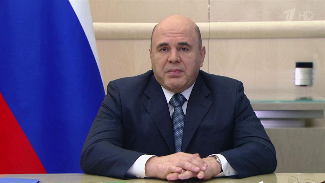 В правительстве РФ обсудили меры борьбы с "черными" лесорубами