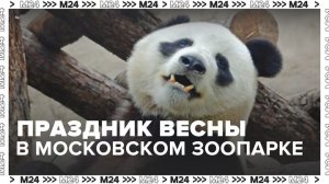 В Московском зоопарке наступил праздник весны - Москва 24