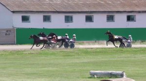 17.06.2023г.Абакан  Лошади Рысистой породы 3-х лет 1600м