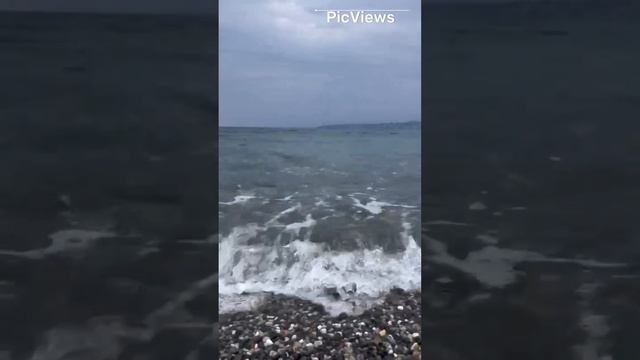 Абхазия. Пляж Пицунда. Море, какая погода сегодня на курорте. 19 декабря 2023. Обстановка на пляже
