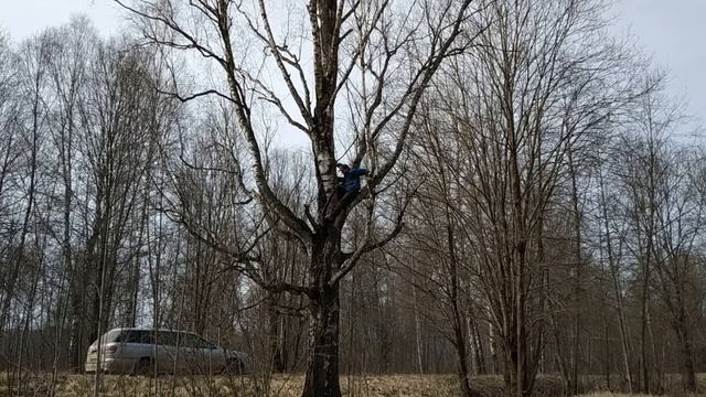 СБОР ЧАГИ. ПОИСК ЖЕЛЕЗА БЕЗ МЕТАЛЛОИСКАТЕЛЯ.