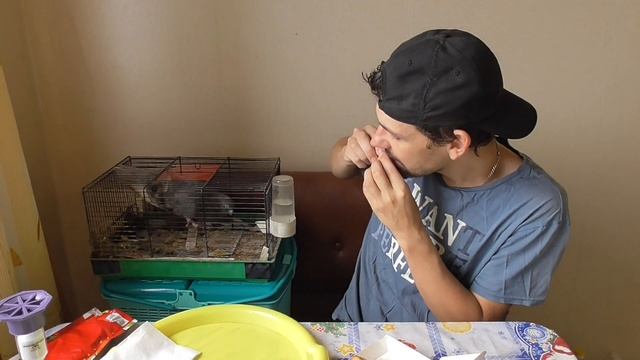 ОБЖОР НА ЧИКЕН МАКНАГГЕТС ИЗ МАКДОНАЛДС, КАК МЕНЯ ТАМ СЕГОДНЯ ОБМАНУЛИ. смотреть онлайн