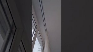 ул.Горсоветская 1 комнатная квартира.