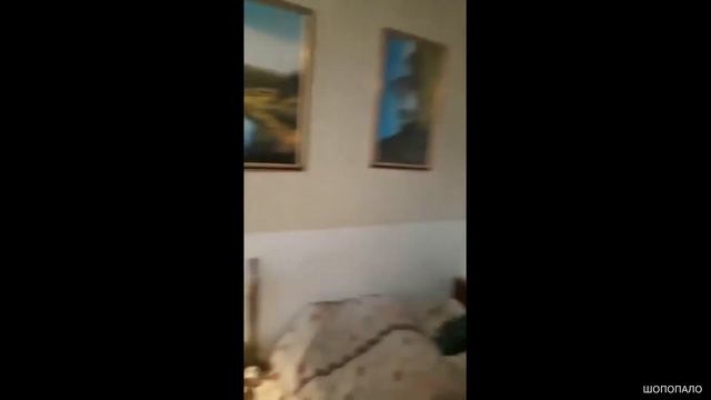 Мужчина держит голубей в квартире смотреть онлайн