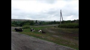 Володарка. Алтайский край, Топчихинский район.
