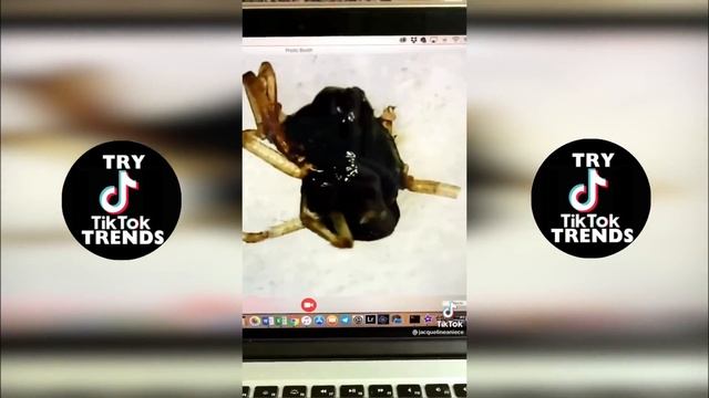 TIKTOK AMAZON MUST HAVES | Home Gadget Edition PART 1*WITH LINKS* смотреть онлайн