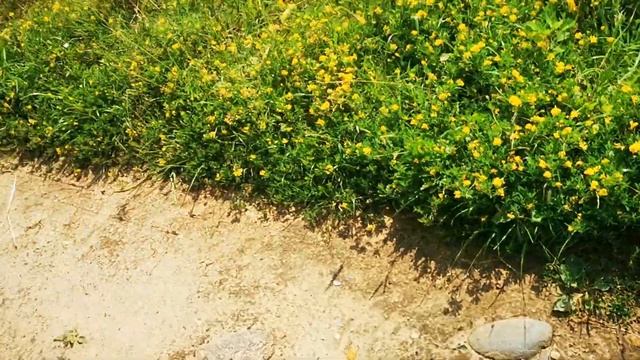 Железная дорога на дне озера Тэц 2 смотреть онлайн