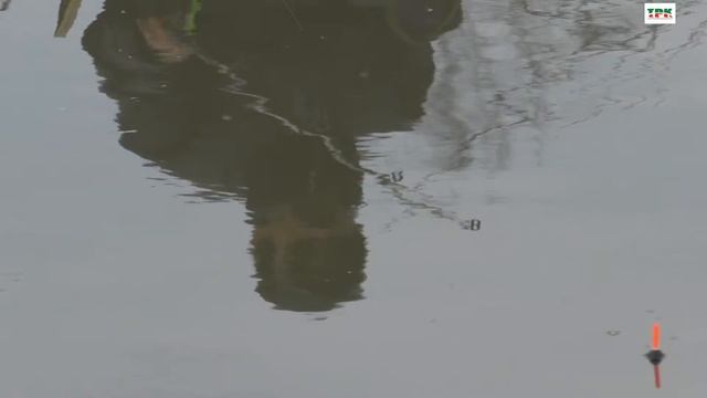 Поиск уклейки, ловля на короткий мах. смотреть онлайн