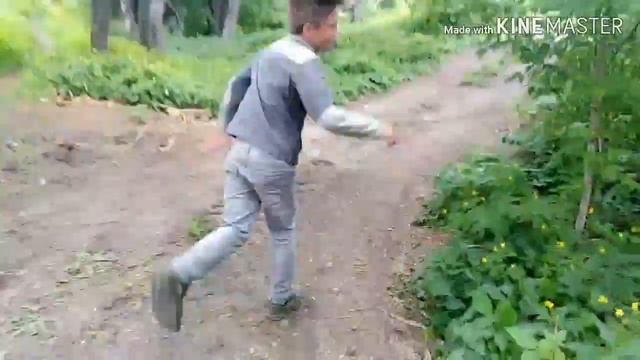 Дремучий лес смотреть онлайн