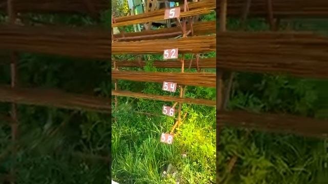 Арматура:видео №1.Продам арматуру 10мм.Цена 10грн./м.0679892118.