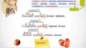 Изменение имен прилагательных по родам и числам. 3 класс.
