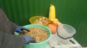 Кормление уток зимой - рацион.