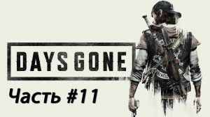 Days Gone #11