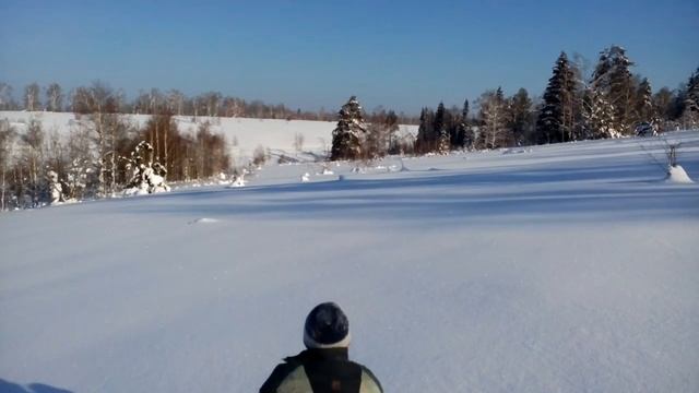 ЗМУ заказник Ашинский 2017