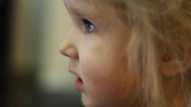 цыпленок жареный смотреть онлайн