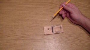 Как бороться с мышами. Обзор самодельных и заводских мышеловок.