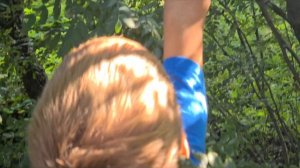 Что за зверь?