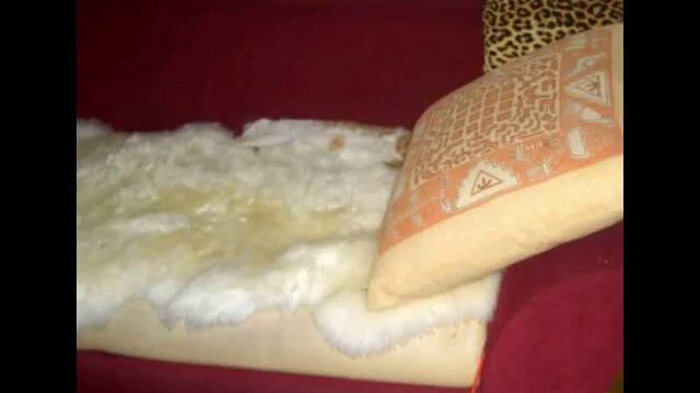 найди кота #4 смотреть онлайн