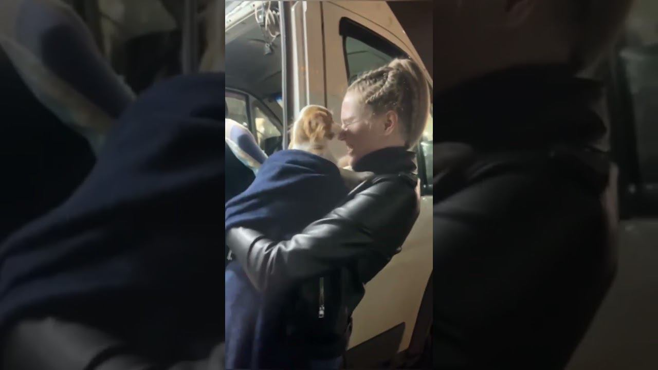 Малыш ККЧС уехал жить в г. Москва. Благодарим компанию Петстур - доставка, перевозка животных.