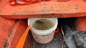 Амазонка. День 3 - Первая рыба / Сибиряк на каноэ [Subtitle] @Got1Try