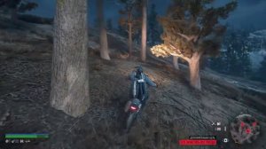 Days Gone Зараженная Зона на Озерной Железной Дороге.