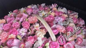 Марша я хьо Марша Я хьо Хьоме Нус 😍💣🤩 РУМИСА НИКАЕВА 2018