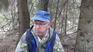 ПЕРВАЯ ВЕСЕННЯЯ ПРОГУЛКА В ЛЕС . СНЫТЬ , БАБУРЫ