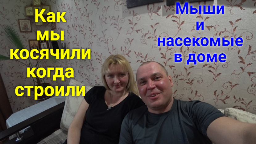 Ошибки в строительстве. Как избавиться от мышей.