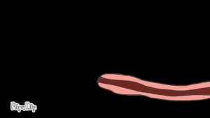 Беззубик (первая анимация)