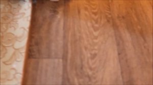 Стык между старым и новым линолеумом