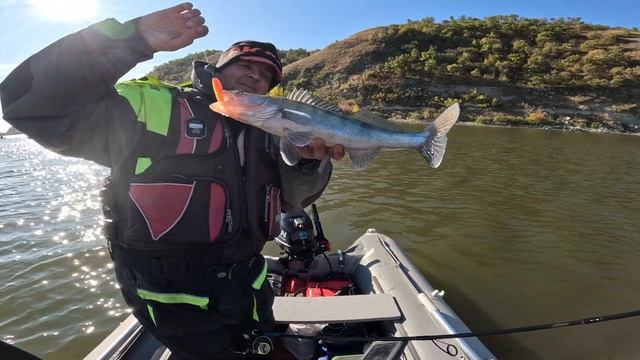 Ловля судака в Калаче на Дону ( Часть 1) рыбалка на джиг. смотреть онлайн