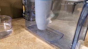 No Bottled Water! No Problem! Zero Water Filter Test/Review