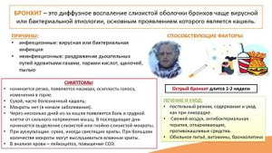4.2. Бронхит