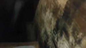 Замена антифриза BMW M60