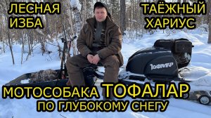 МОТОСОБАКА ПО ГЛУБОКОМУ СНЕГУ толкач ТОФАЛАР , МУЖИК ,СЕВЕР СТЕМ, ТЕСТ , ЛЕСНАЯ ИЗБА ,РЫБАЛКА ХАРИУС