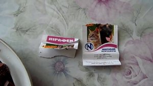 Профилактика глистов у кошек