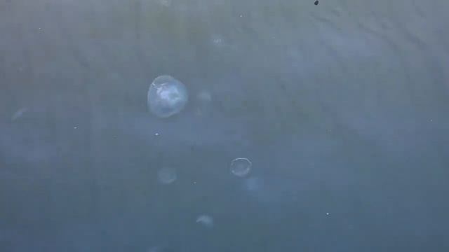 ДИВНОМОРСКОЕ. ЖАРА. ЛЮДИ РАЗДЕВАЮТСЯ И ЗАГОРАЮТ. ПОГОДА 12.11.2022. КУПАЮСЬ В ПОСЛЕДНИЙ РАЗ смотреть онлайн