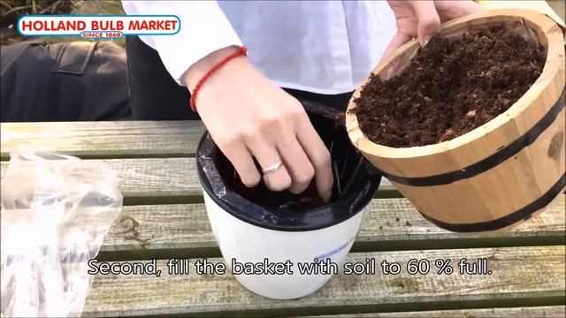 Planting Chionodoxa forbesii on the Lazy pot смотреть онлайн