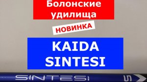 НОВИНКА 2025. KAIDA SINTESI - ОБЗОР БОЛОНСКИХ УДИЛИЩ. УДИЛИЩЕ С КОЛЬЦАМИ МОДЕЛЬ КАЙДА СИНТЕСИ