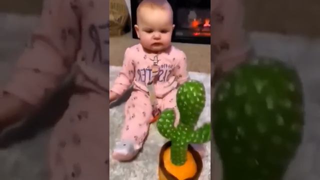 Реакция детей на танцующий кактус смотреть онлайн