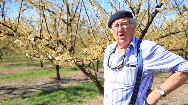 Increase Fruit Size And Grower Returns With BENEFIT PZ