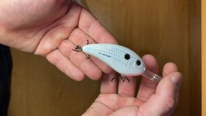 Unboxing воблера Bomber Fat Free Shad BD7F (21 г) DPW