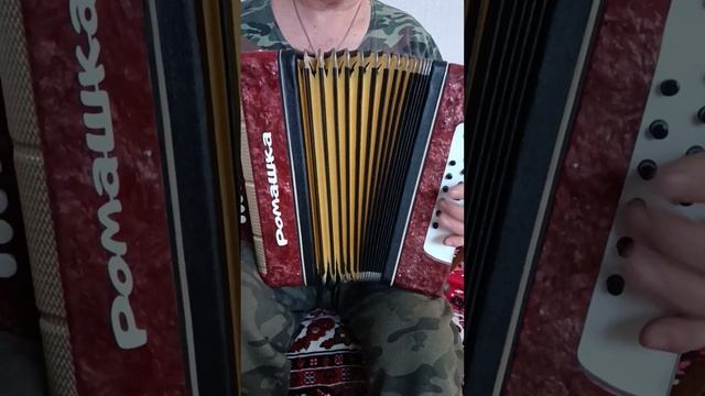 Гармонь "Ромашка" Ля мажор. смотреть онлайн